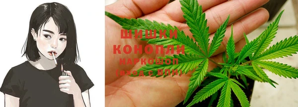 PSILOCYBIN Алзамай