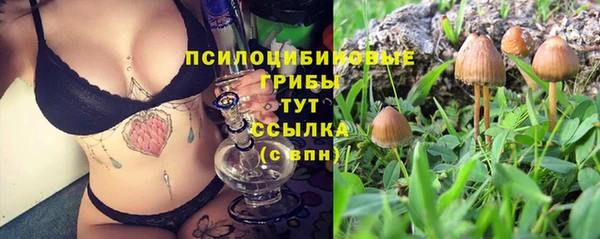 стаф Алексин