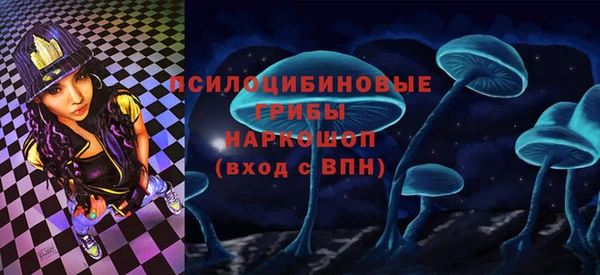 стаф Алексин