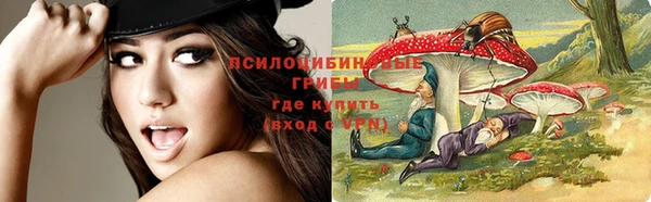 стаф Алексин