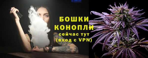 PSILOCYBIN Алзамай