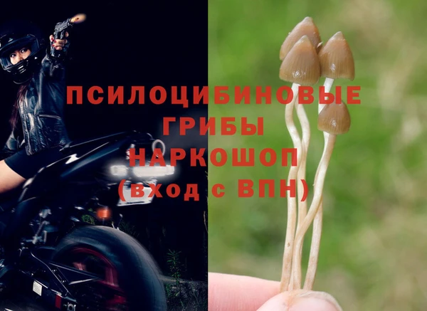 стаф Алексин